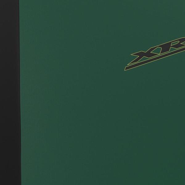 Universelle sædebetræk til biler til Volkswagen Passat B4, B5, B6, B7, B8, B9 (1993-....) - grön